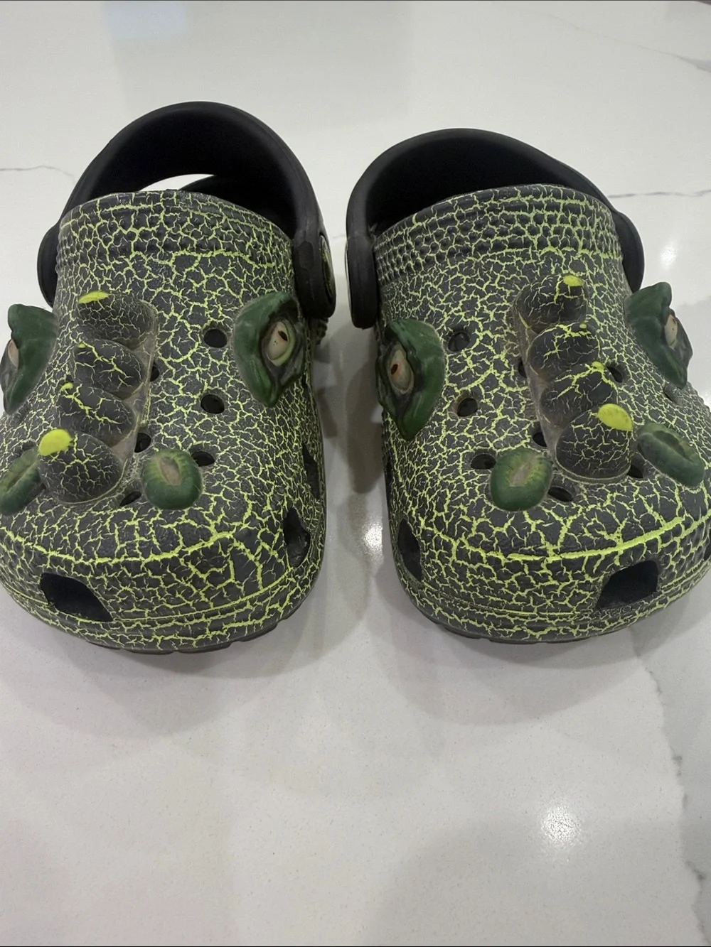 Crocs alligator